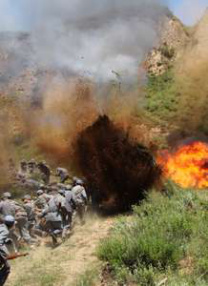 久久99精品视频一区97